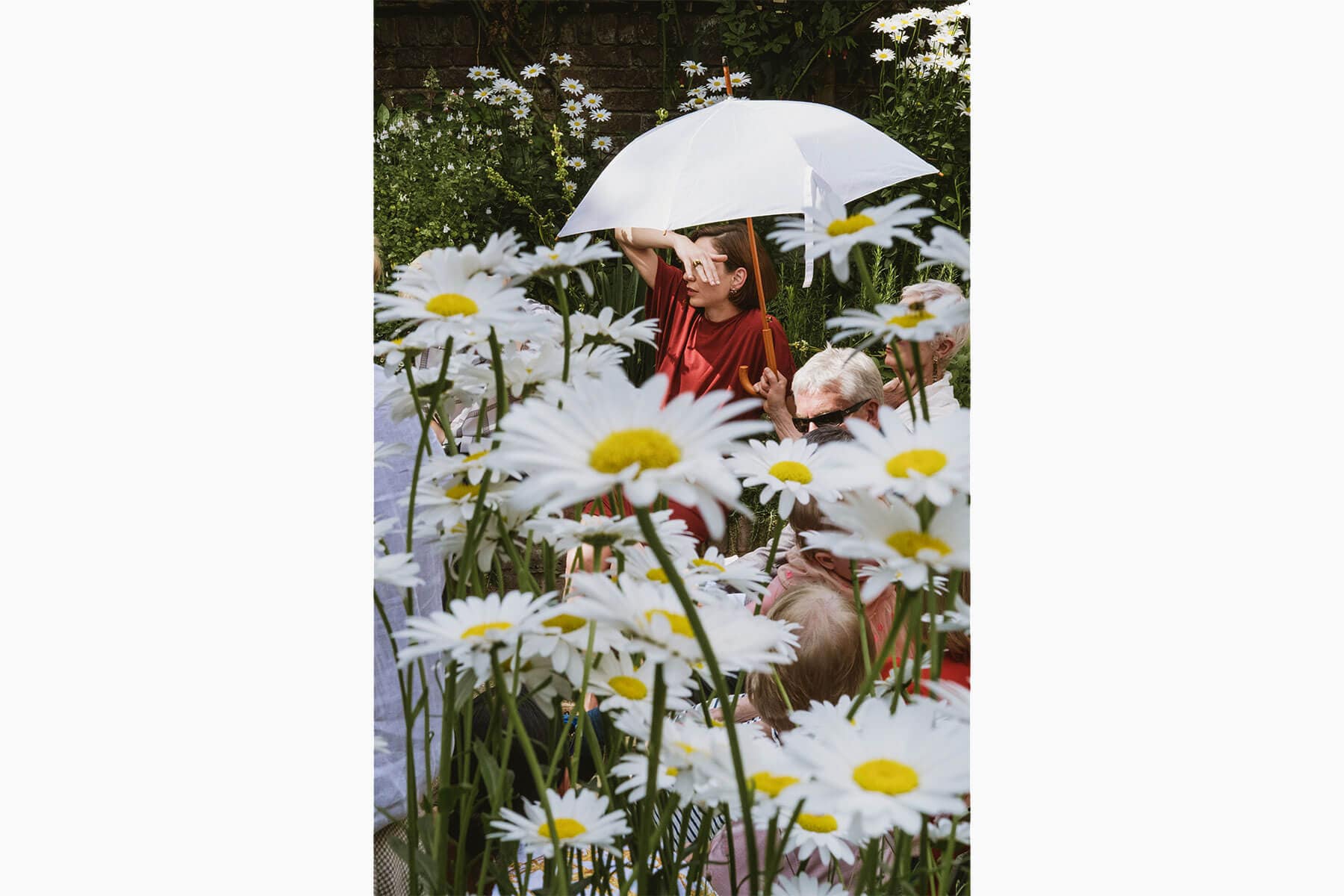 People under umbrella surrounded by daisies in garden.