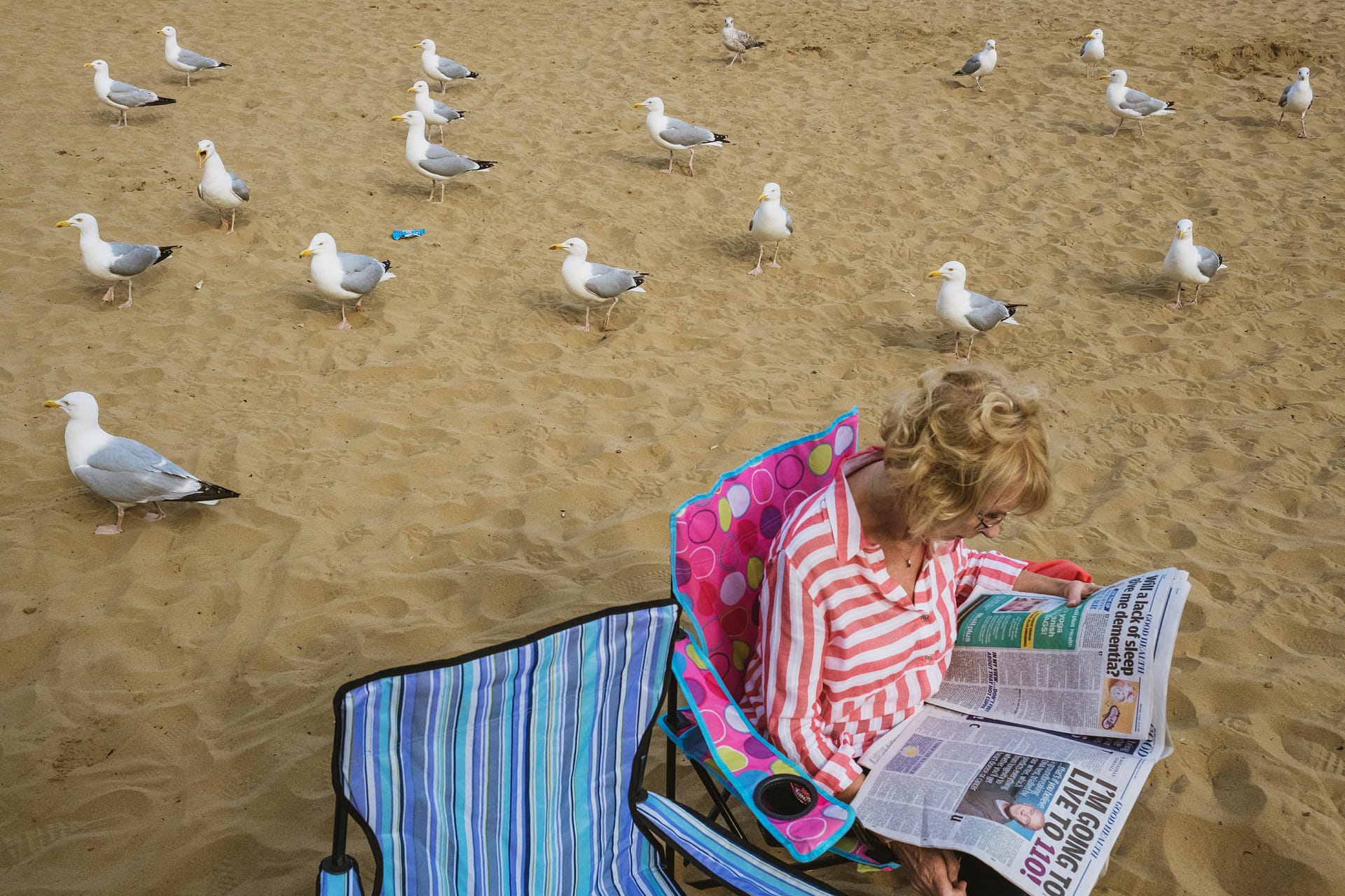 Street photograph captured in Scarborough, England. Woman sits in a folding chair reading a newspaper on Scarborough beach whilst, unbeknownst to her, seagulls appear to gather around her