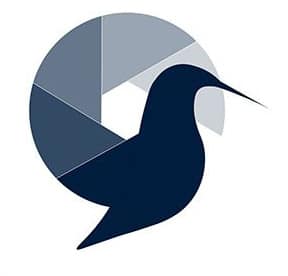 Seemingly Insignificant Photography Training Logo